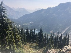 Maple Heather Trail, WA